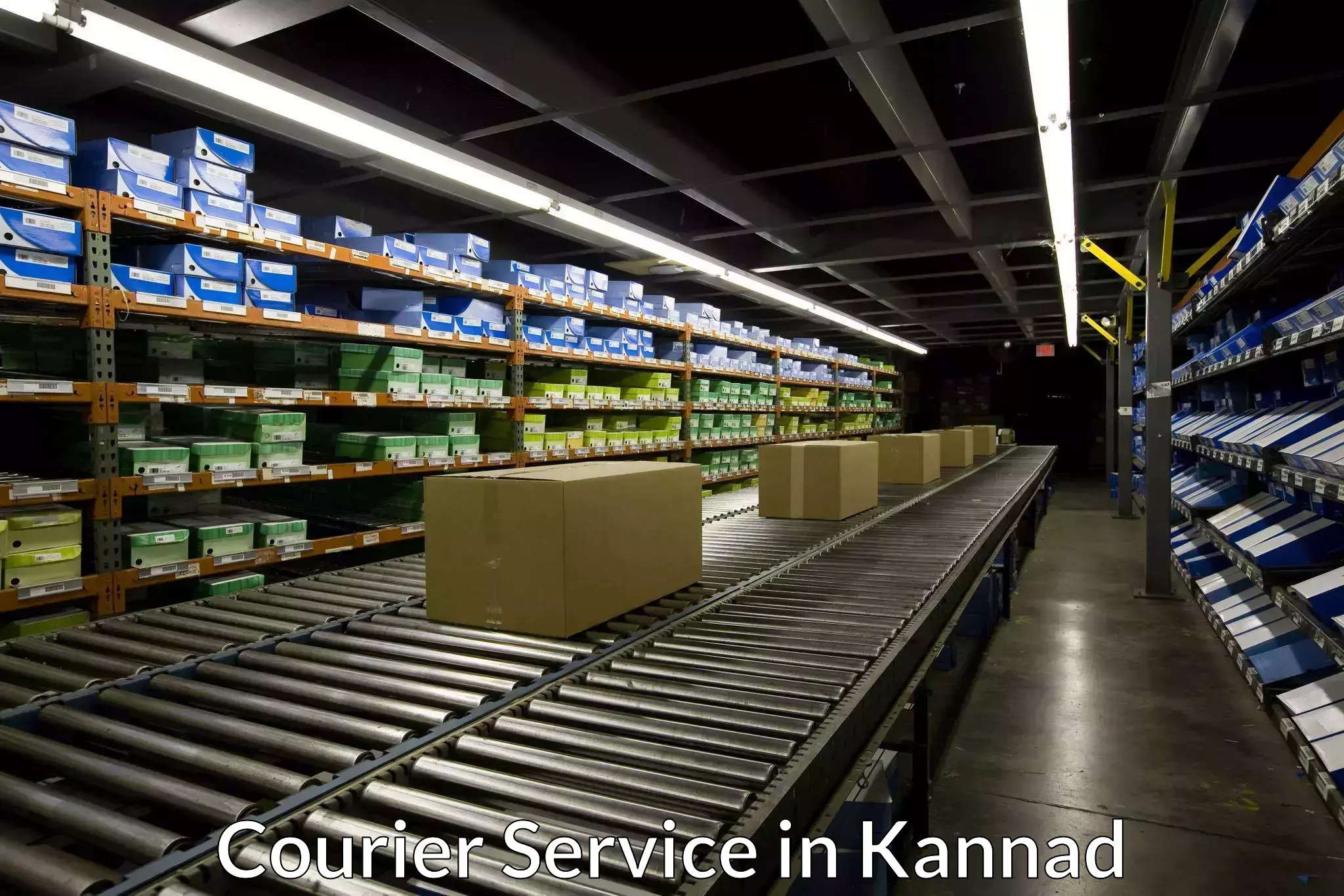 Courier service efficiency in Kannad