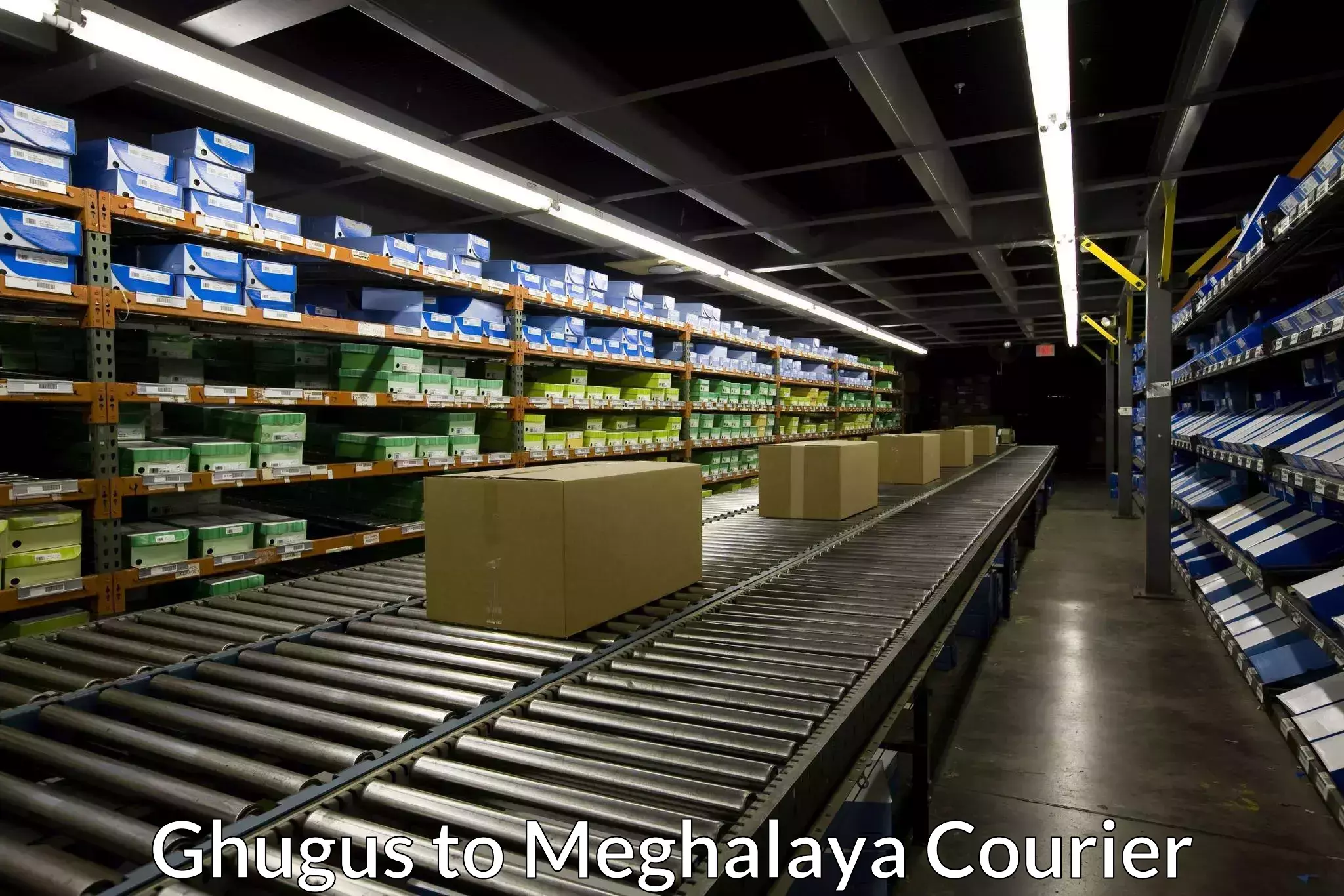 High value parcel delivery Ghugus to Meghalaya