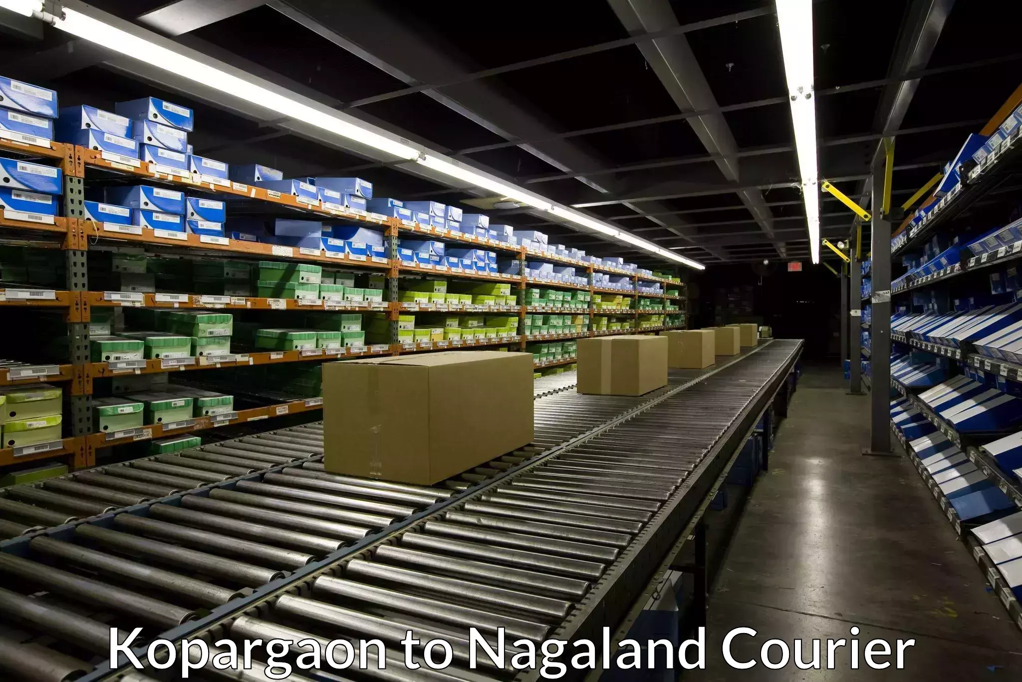 Express delivery capabilities Kopargaon to Nagaland