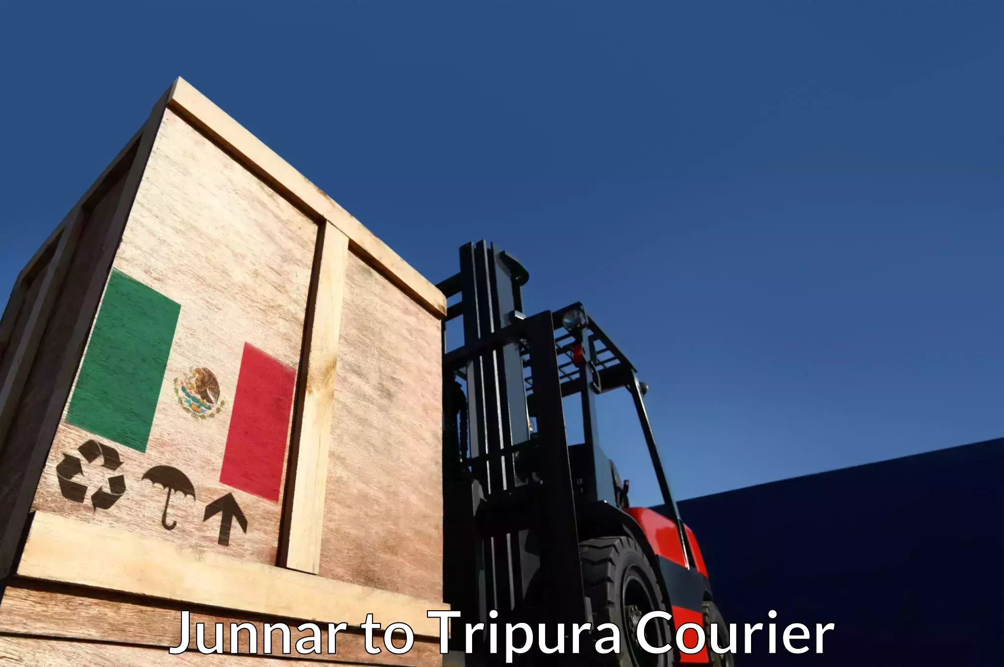 Business delivery service Junnar to Tripura