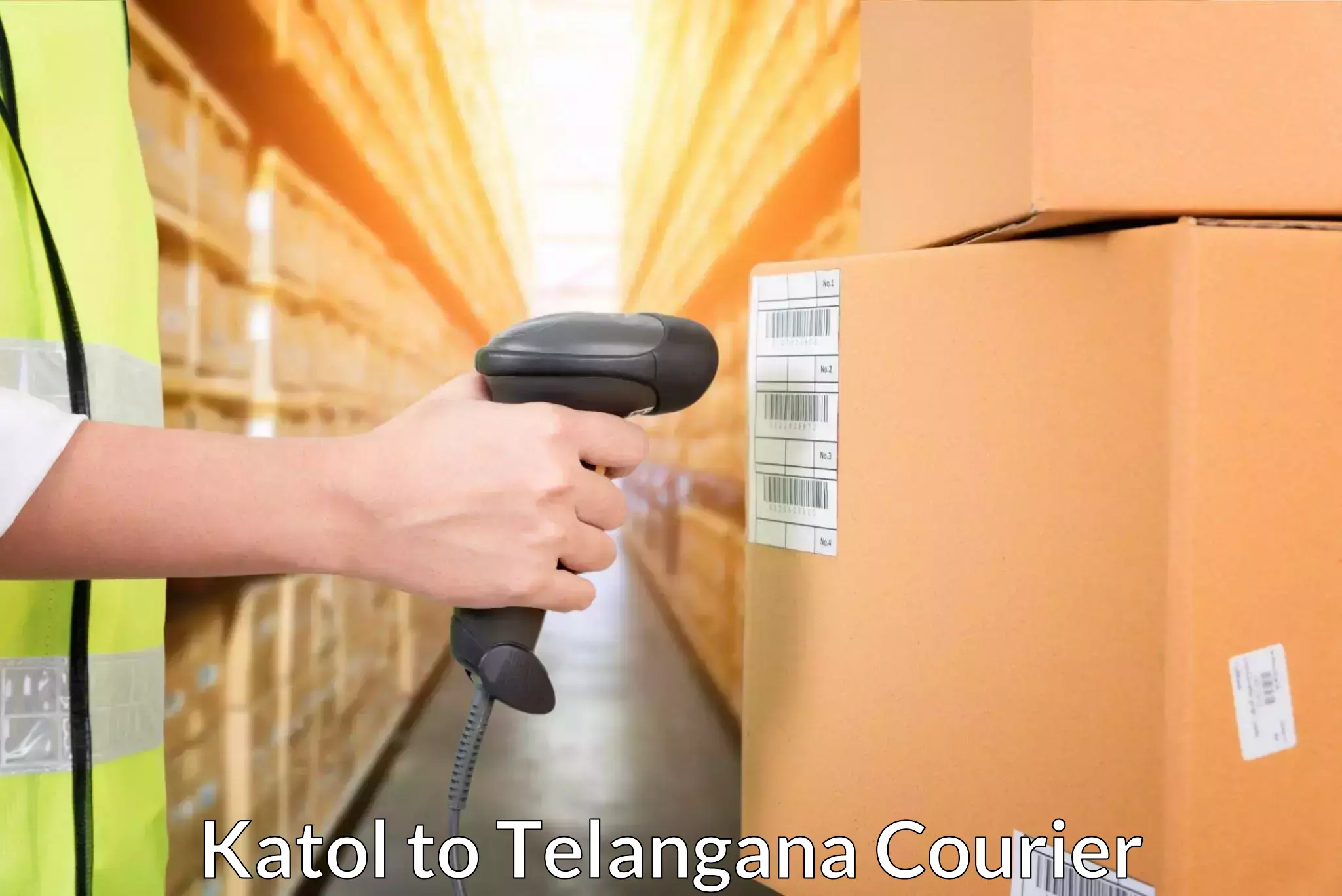 International courier networks Katol to Telangana