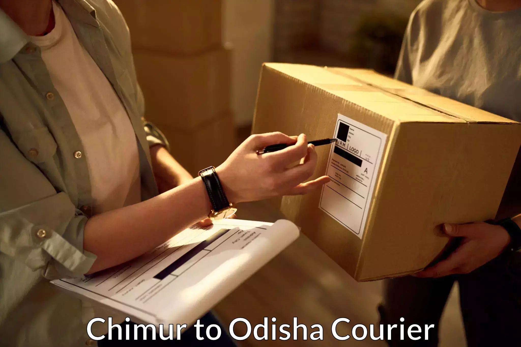 Multi-service courier options Chimur to Odisha