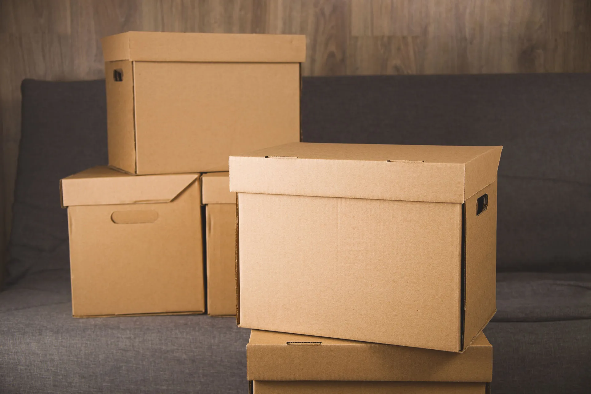 Professional packing services in Pan India