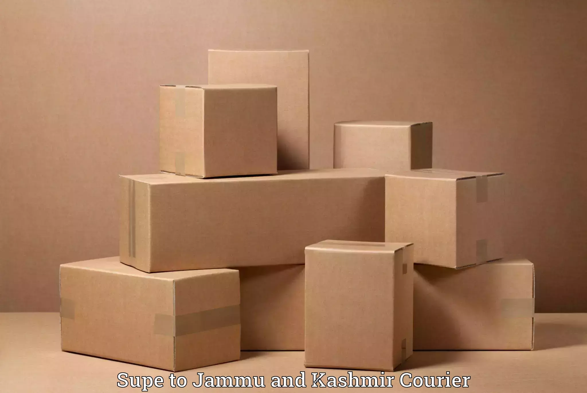 Professional movers and packers in Supe to Udhampur