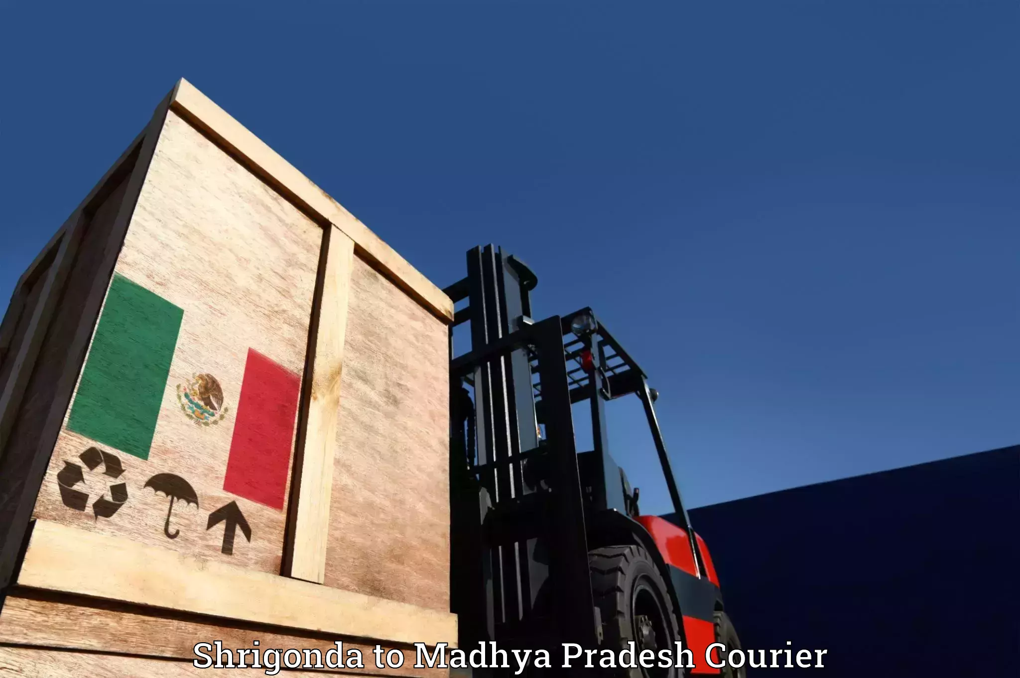 Furniture transport company in Shrigonda to Madhya Pradesh