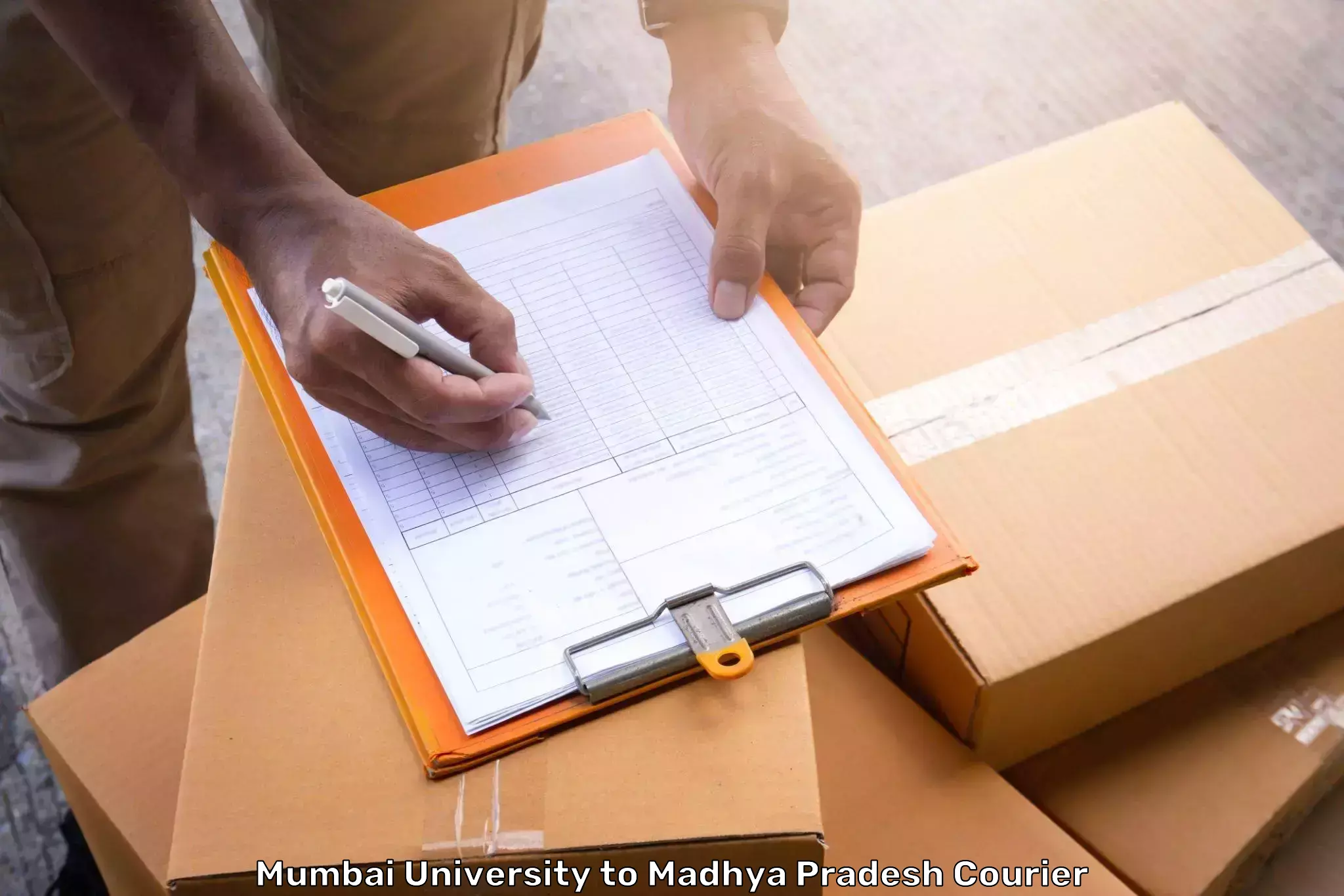 Baggage shipping experts Mumbai University to Sendhwa