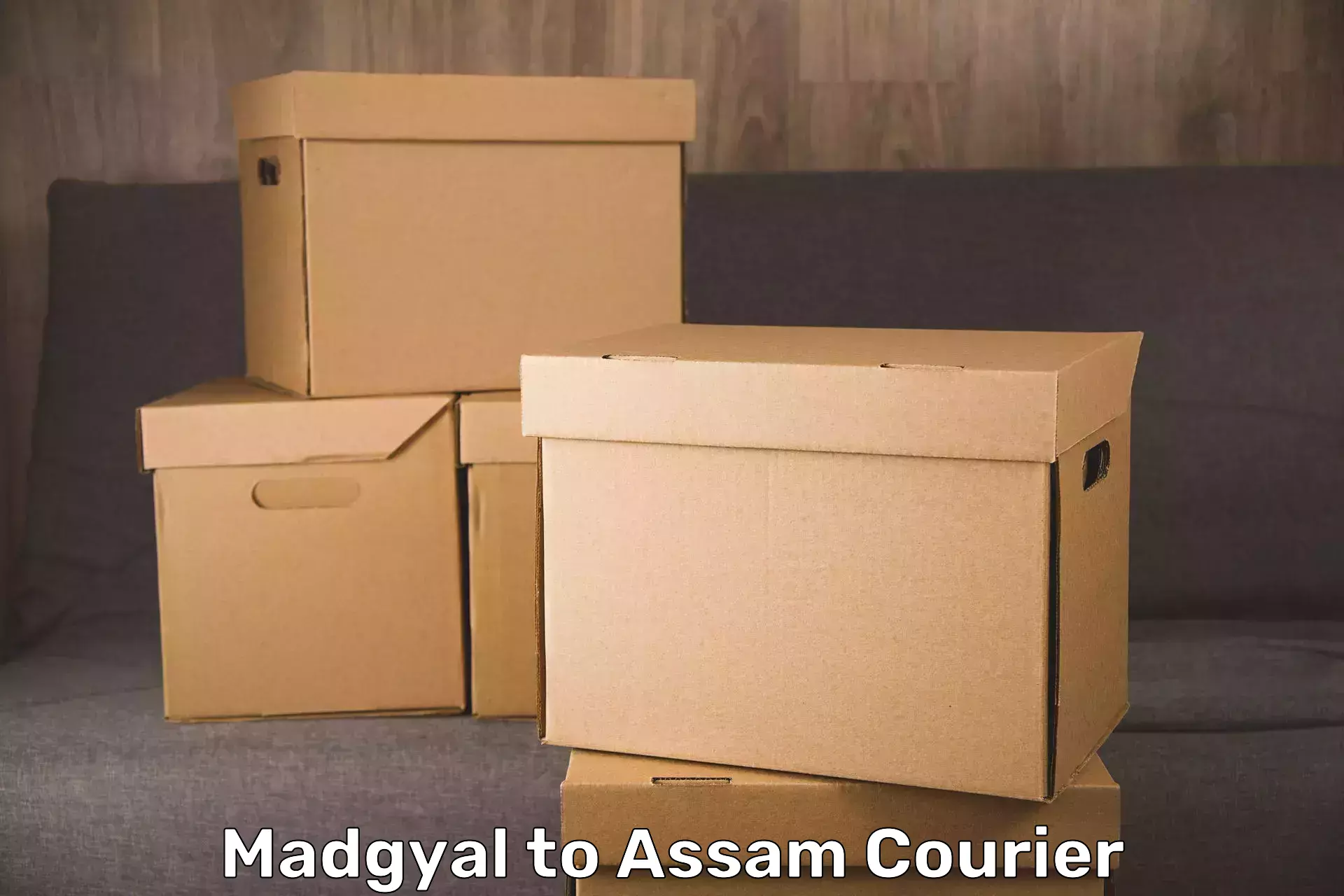 Luggage delivery solutions Madgyal to Patharkandi