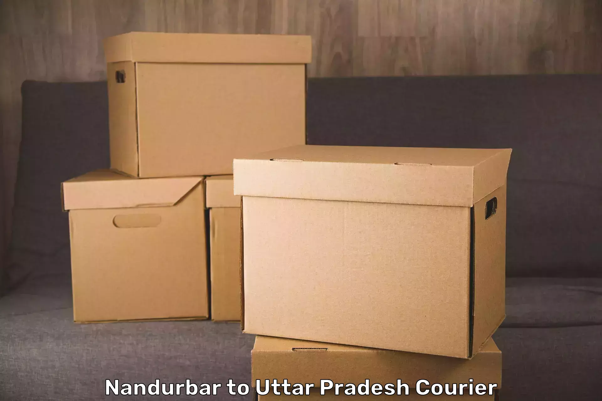 Luggage shipping guide Nandurbar to Ganj Dundwara