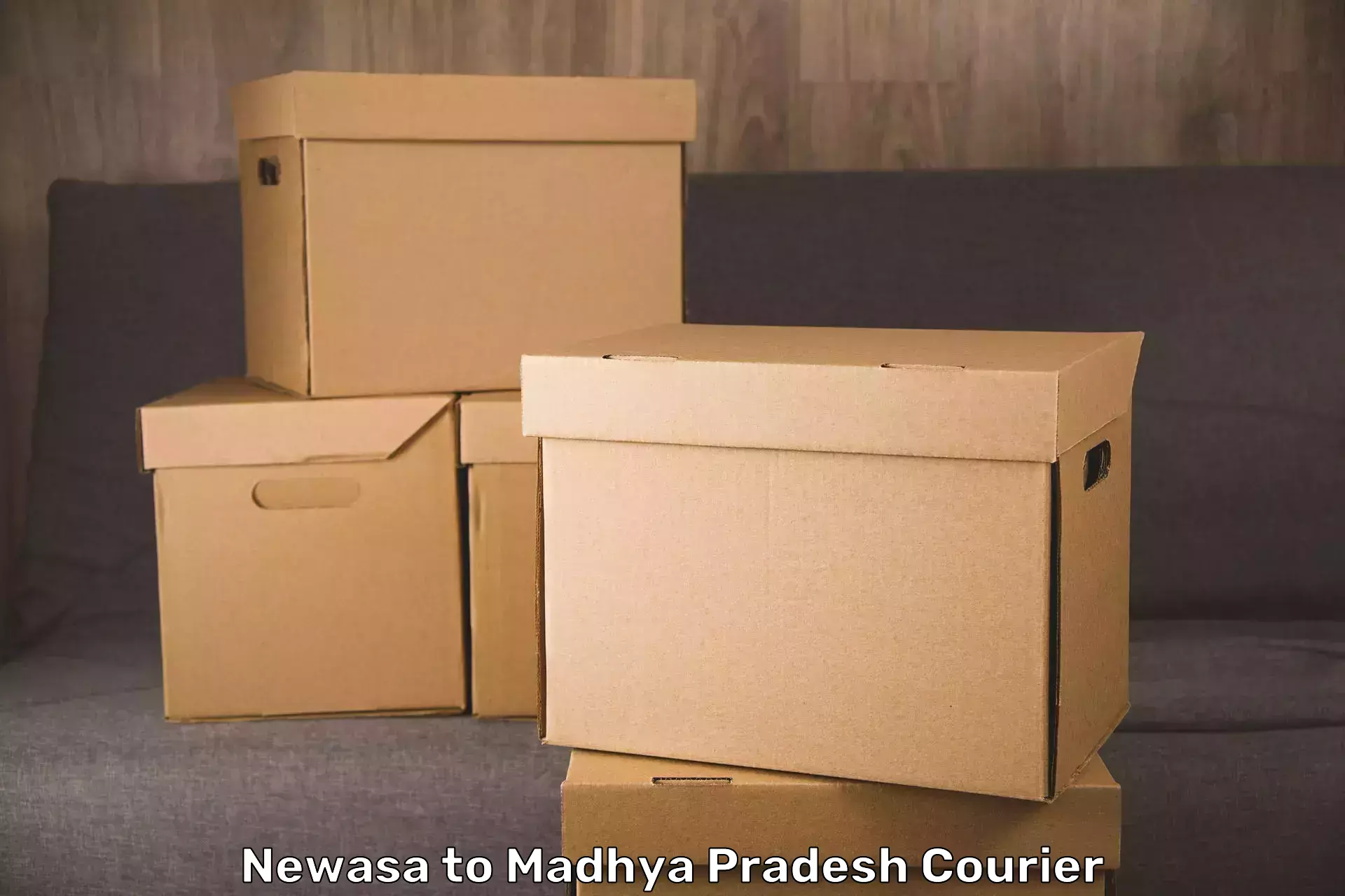 Budget-friendly baggage courier Newasa to Neemuch