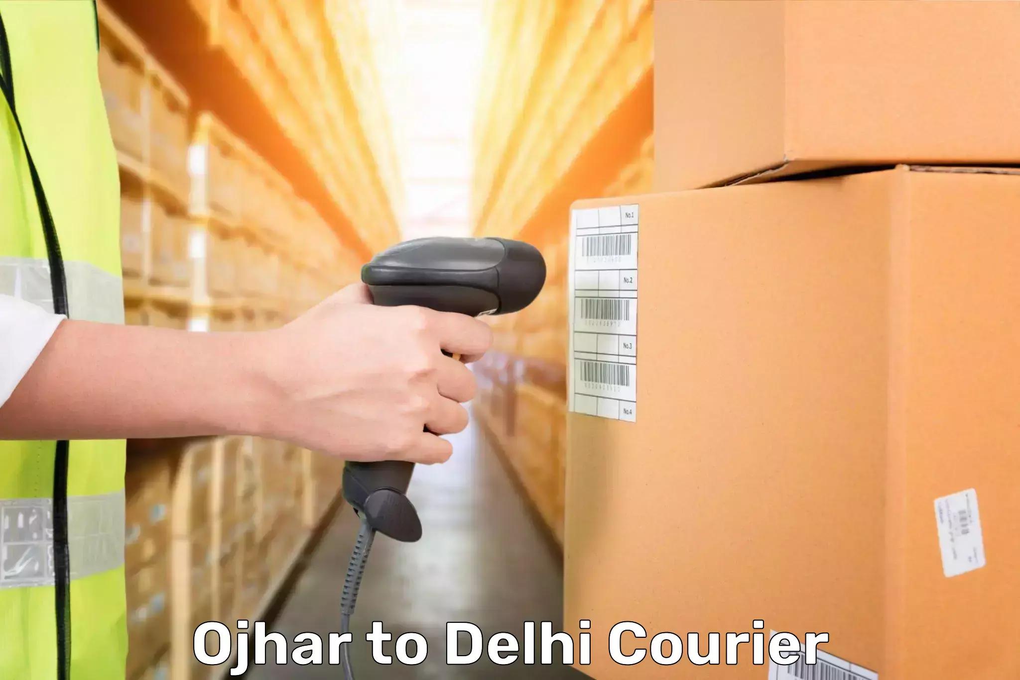 Immediate baggage courier Ojhar to Sansad Marg