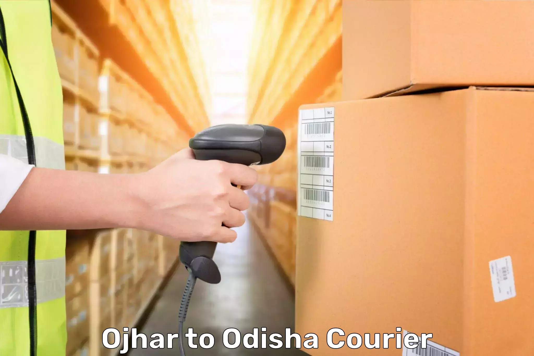 Baggage courier strategy Ojhar to Telkoi