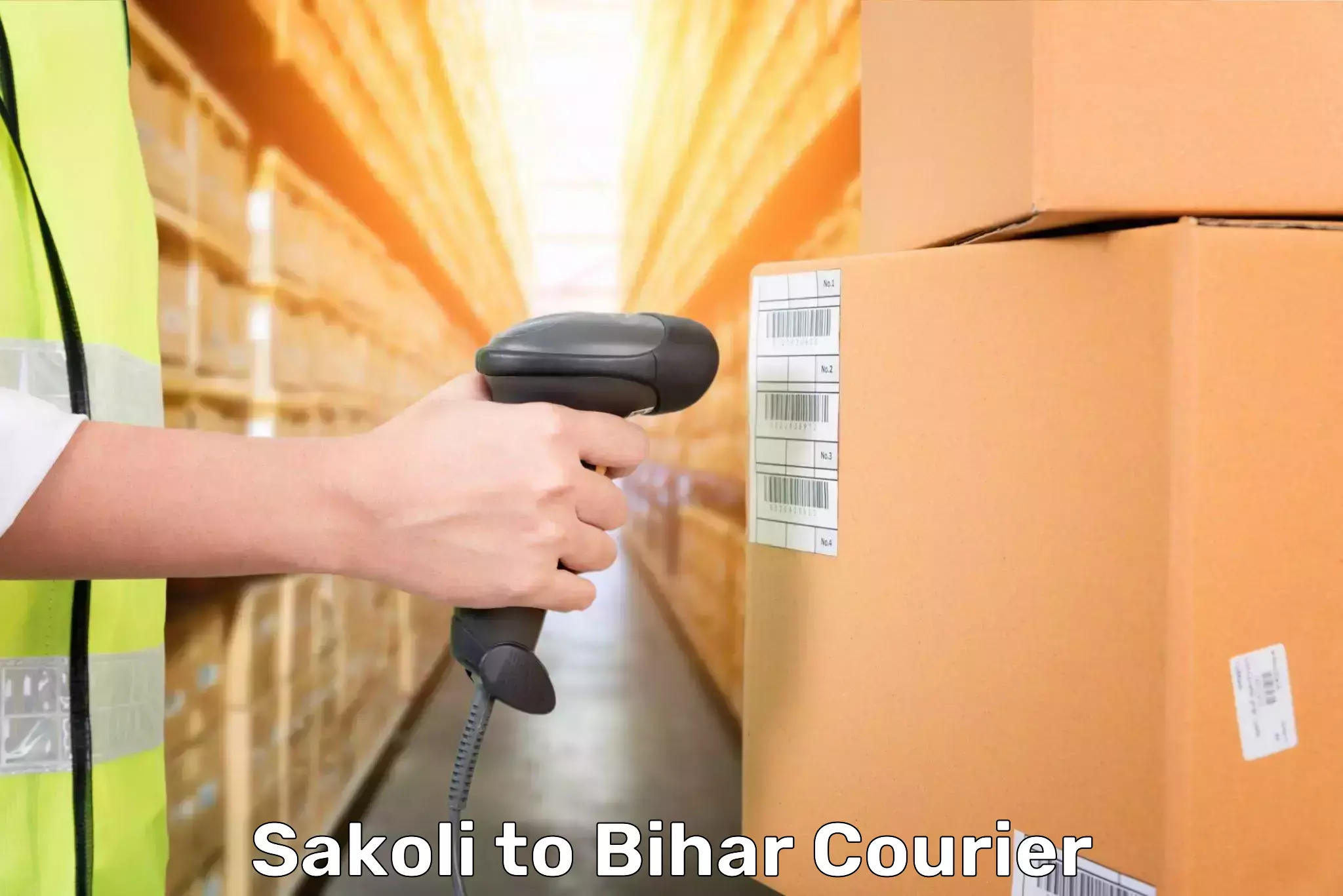 Luggage shipping options Sakoli to Jaynagar
