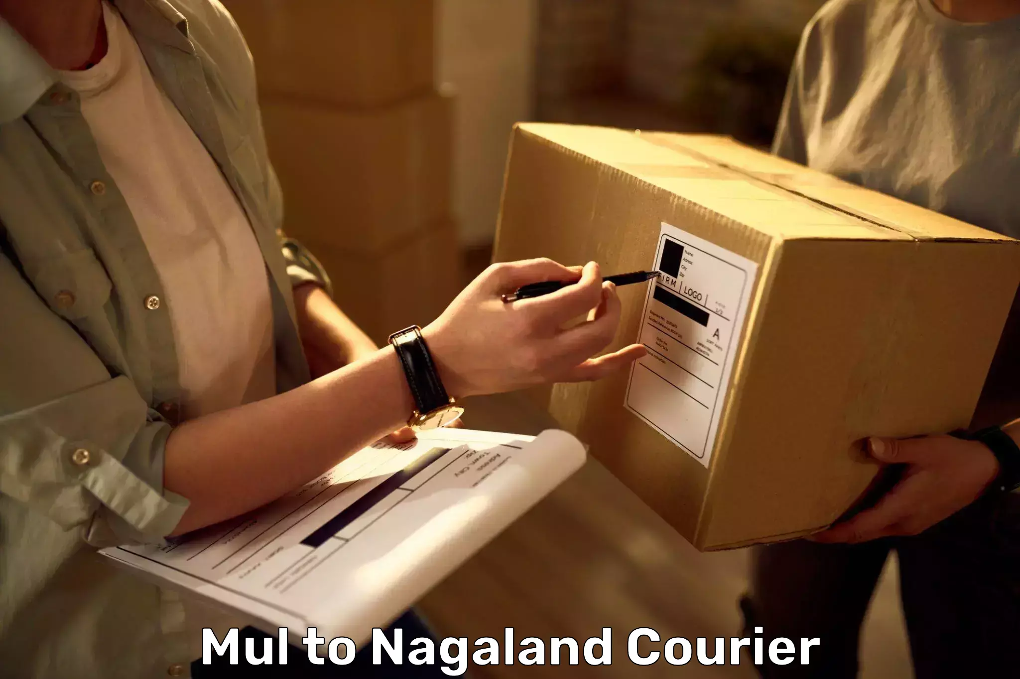 Comprehensive baggage service Mul to Nagaland