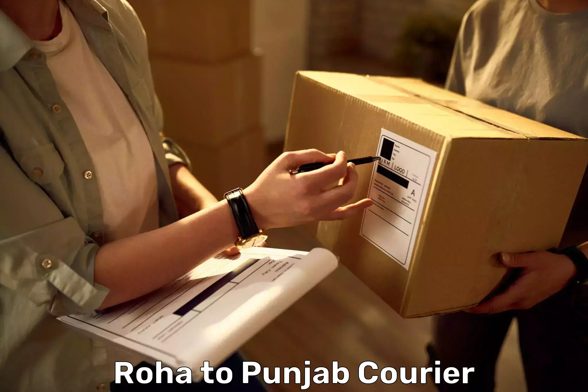 Luggage shipping rates calculator Roha to Central University of Punjab Bathinda