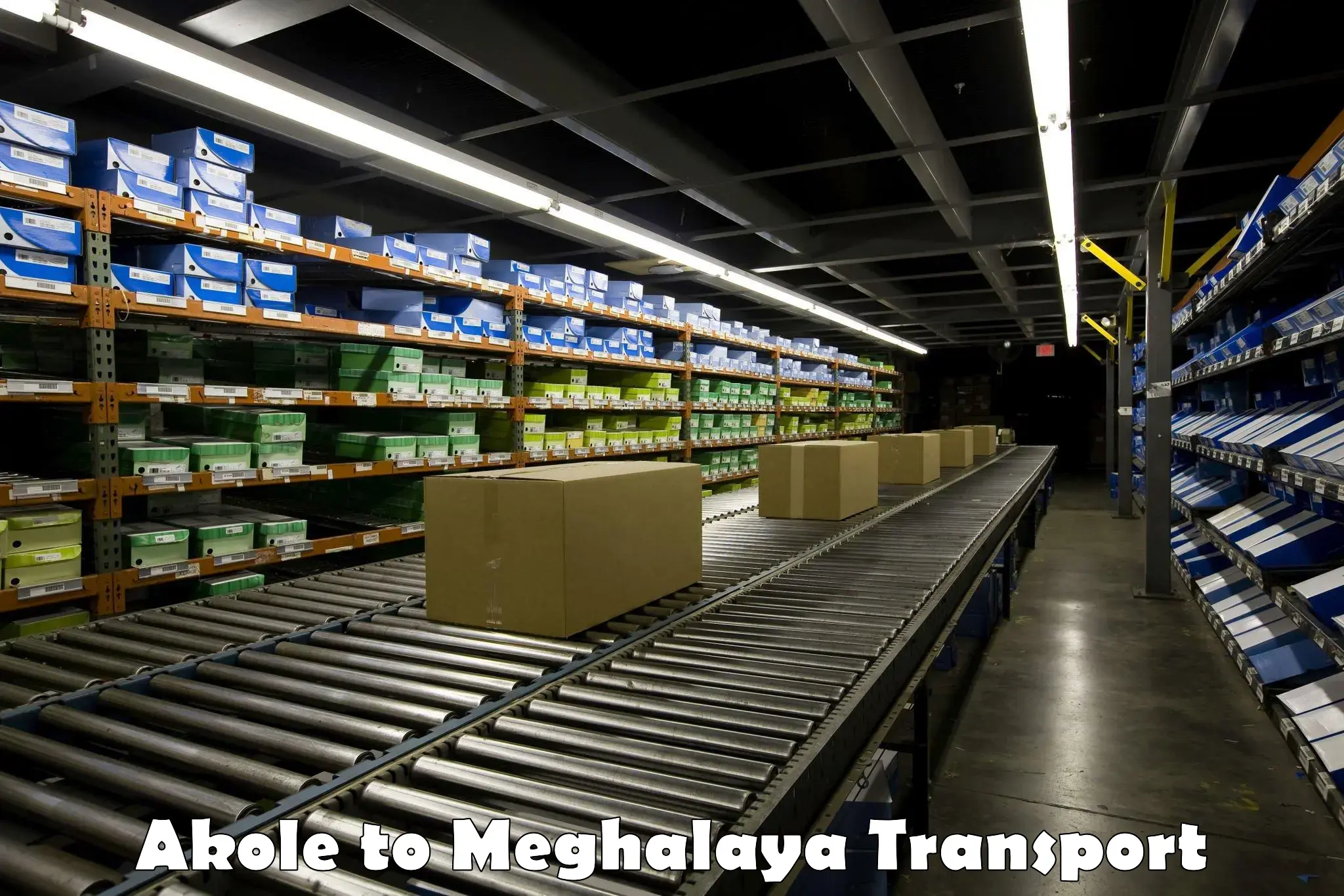 Cargo train transport services Akole to Meghalaya