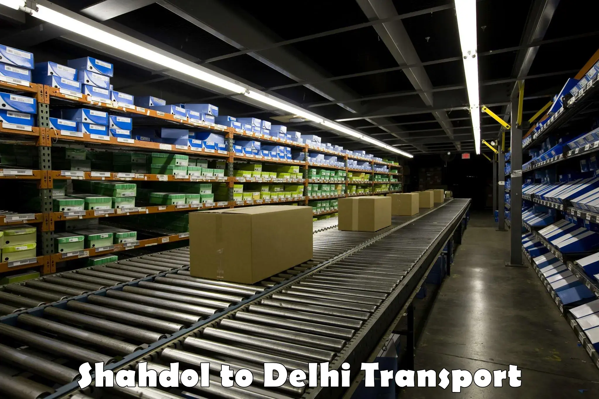 Commercial transport service Shahdol to East Delhi