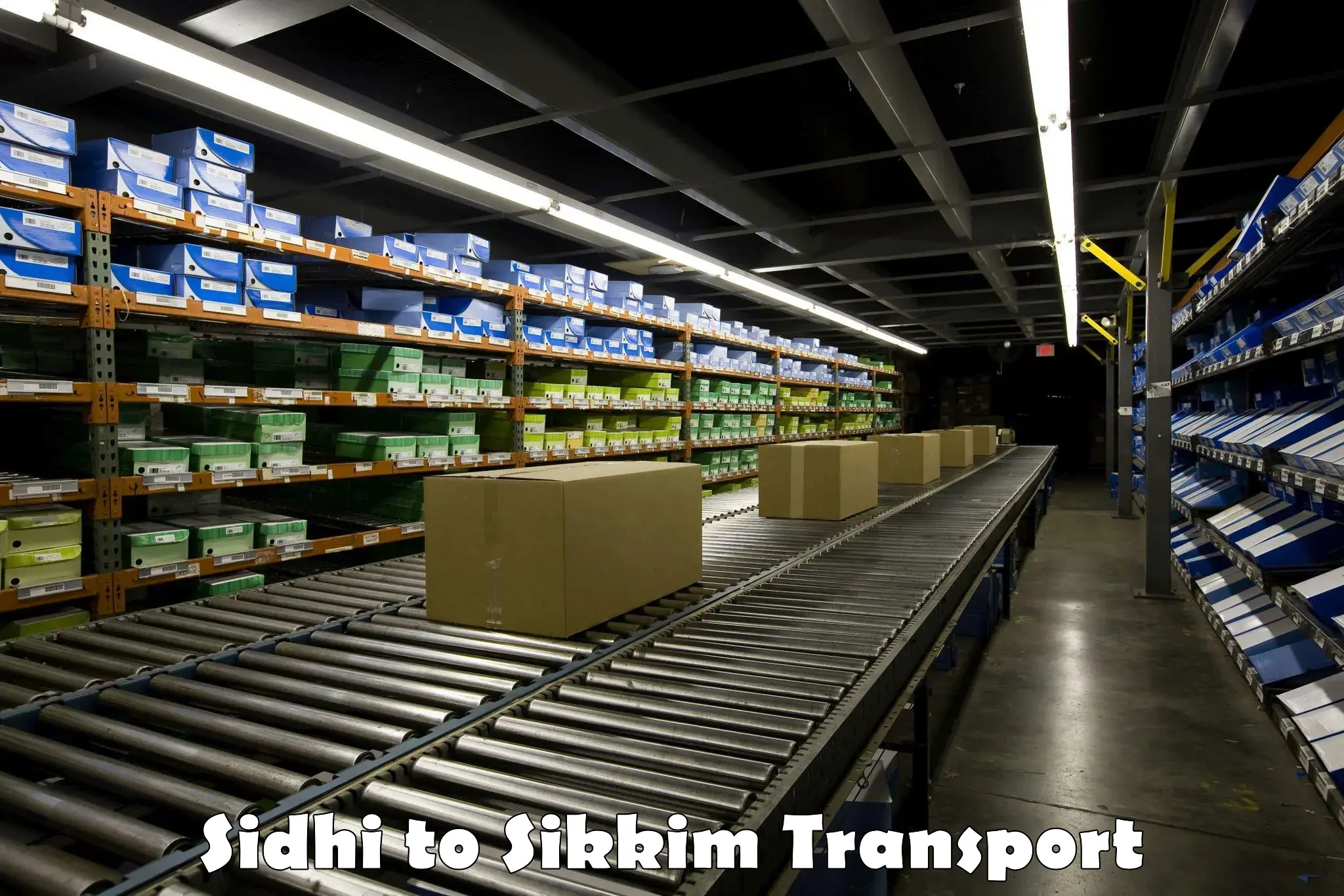 Air freight transport services Sidhi to West Sikkim