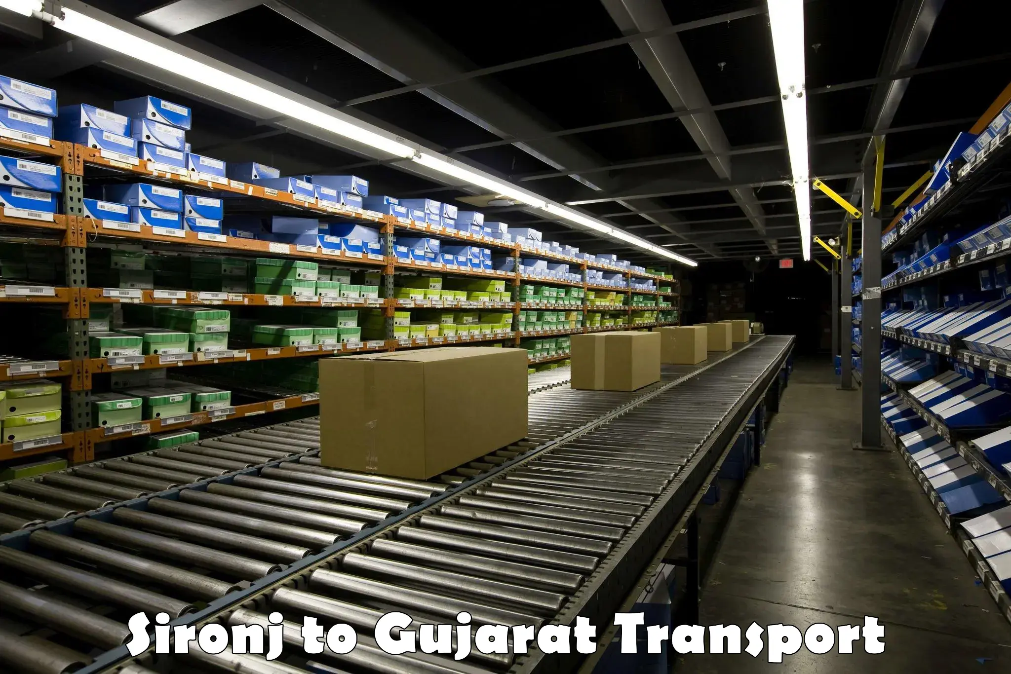 Furniture transport service Sironj to Patan Gujarat
