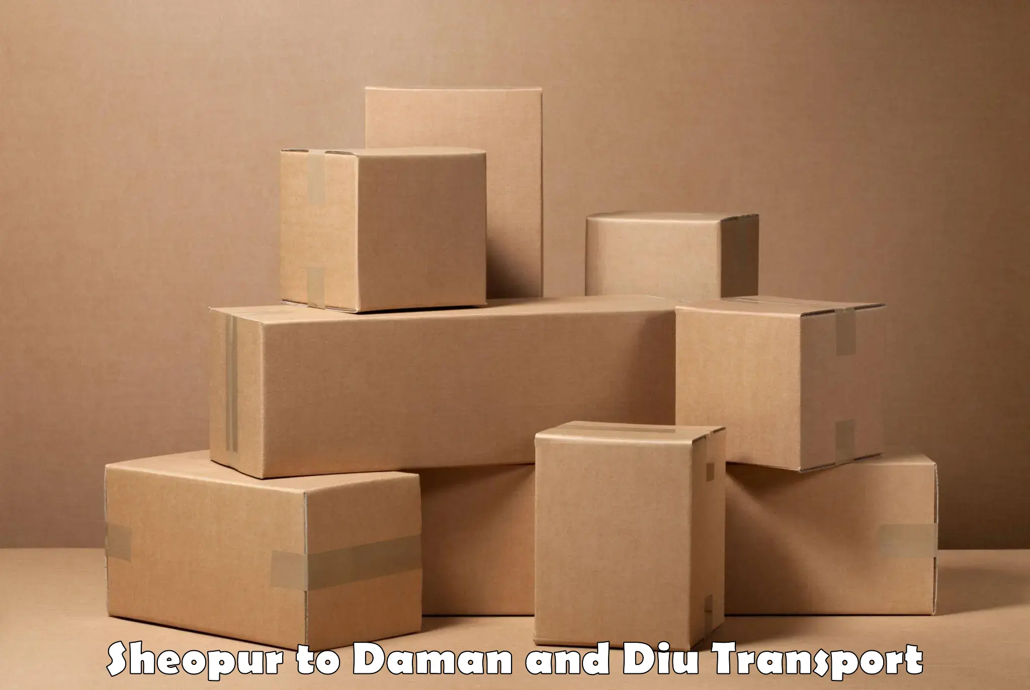 Container transport service Sheopur to Daman and Diu
