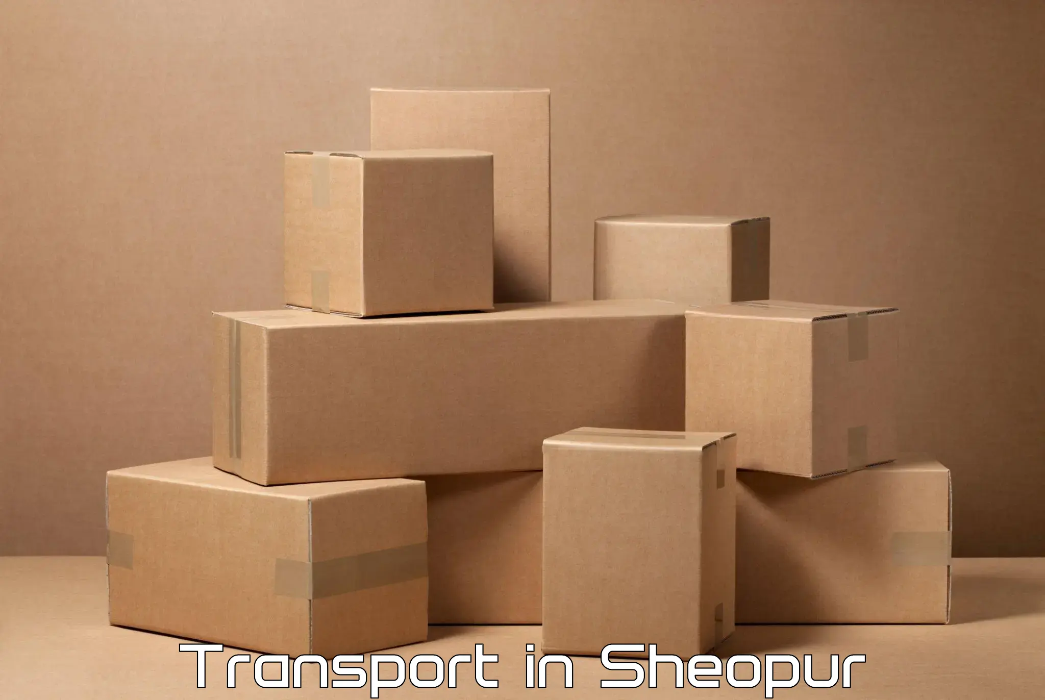 Air freight transport services in Sheopur
