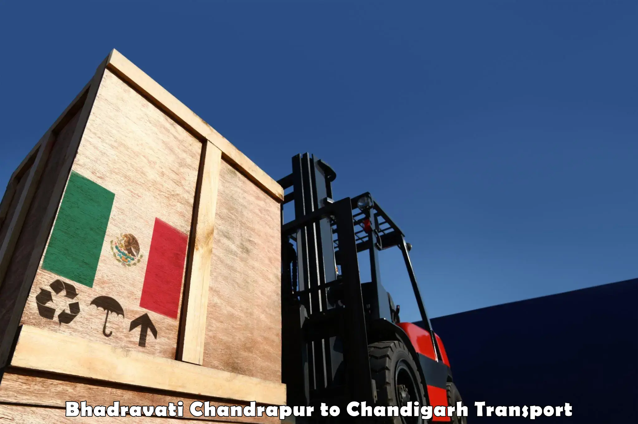Vehicle transport services in Bhadravati Chandrapur to Chandigarh