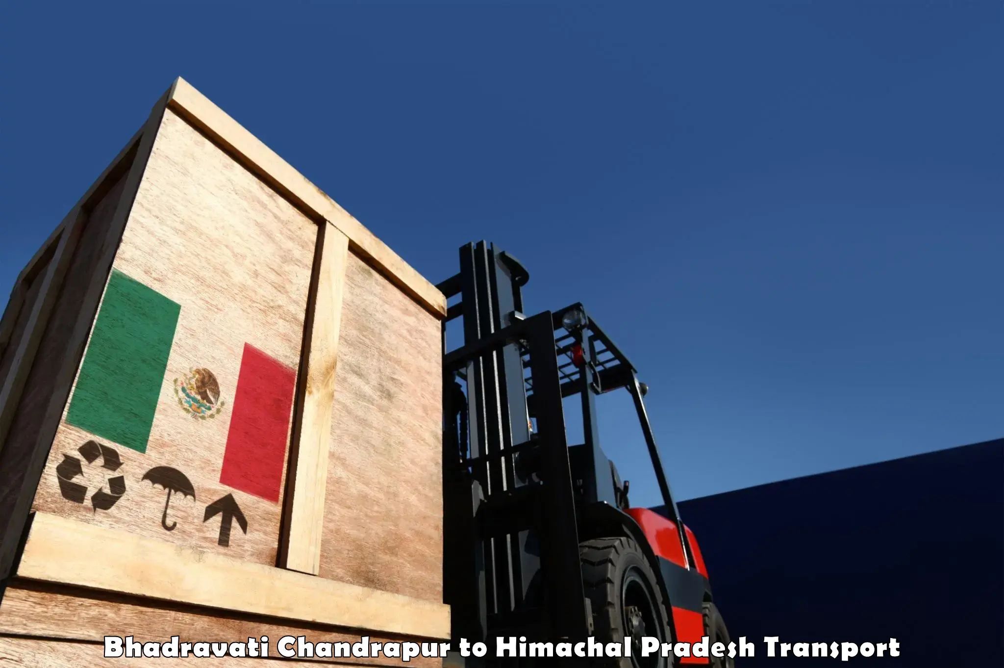 Container transportation services Bhadravati Chandrapur to Chirgaon Shimla