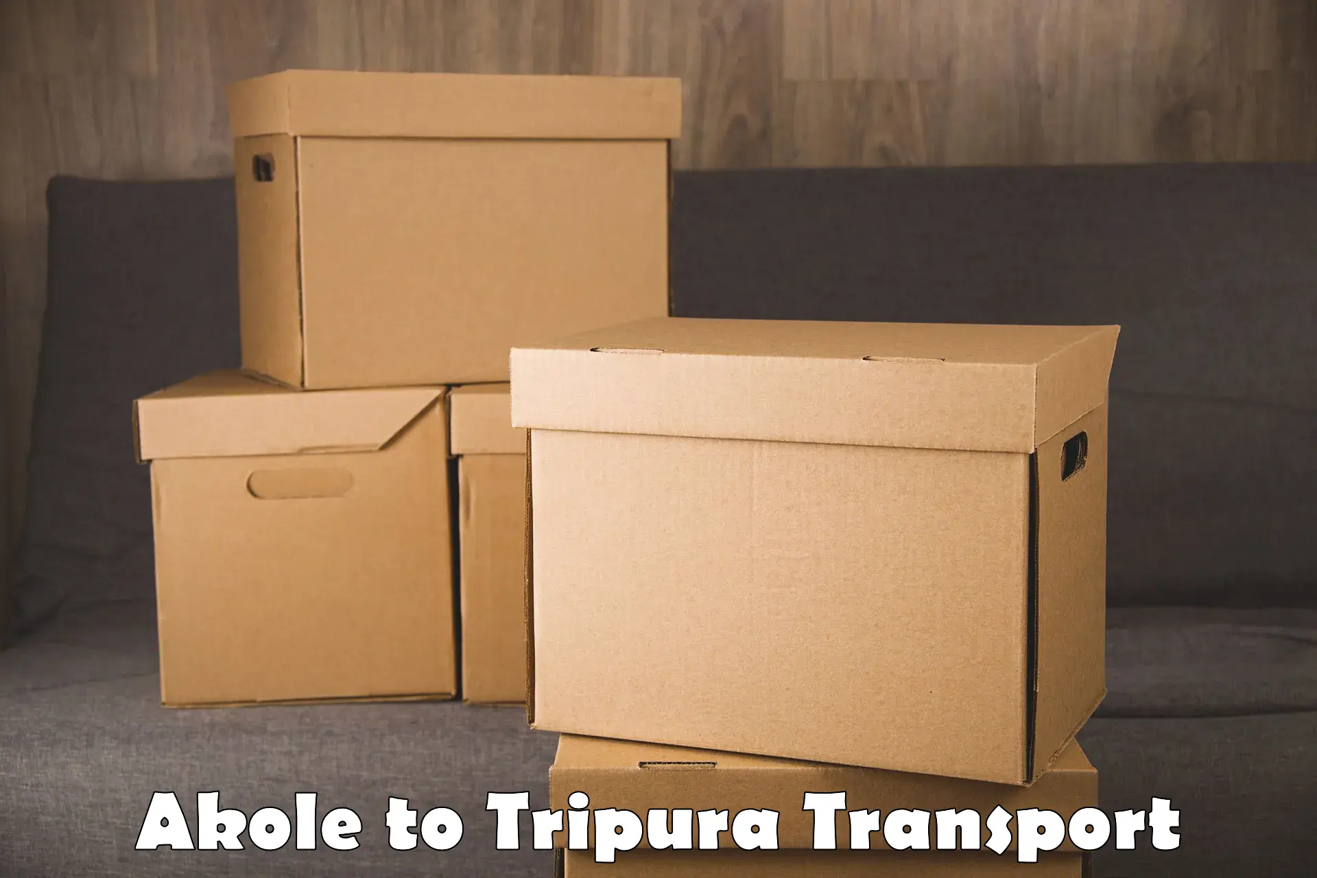 Container transport service Akole to Udaipur Tripura