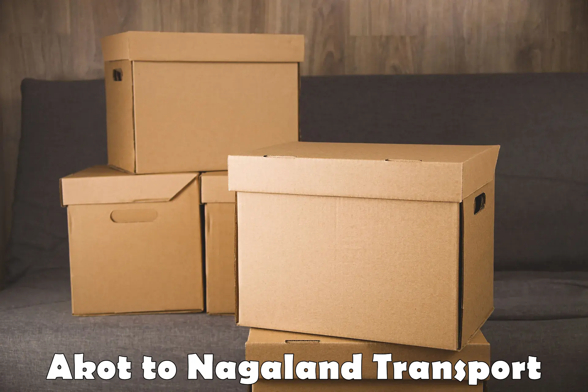 Daily parcel service transport Akot to Nagaland
