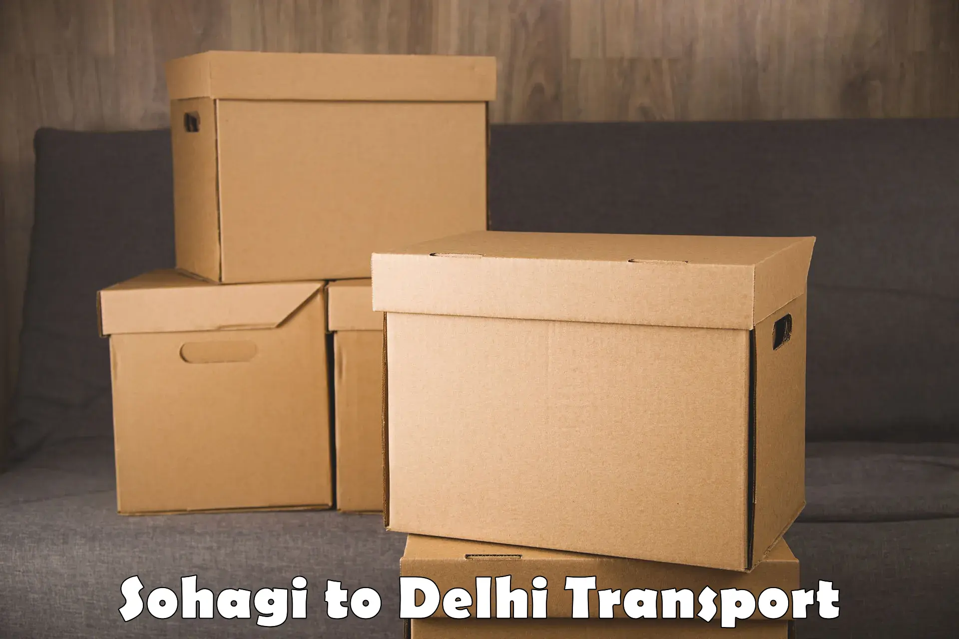 Door to door transport services Sohagi to Delhi