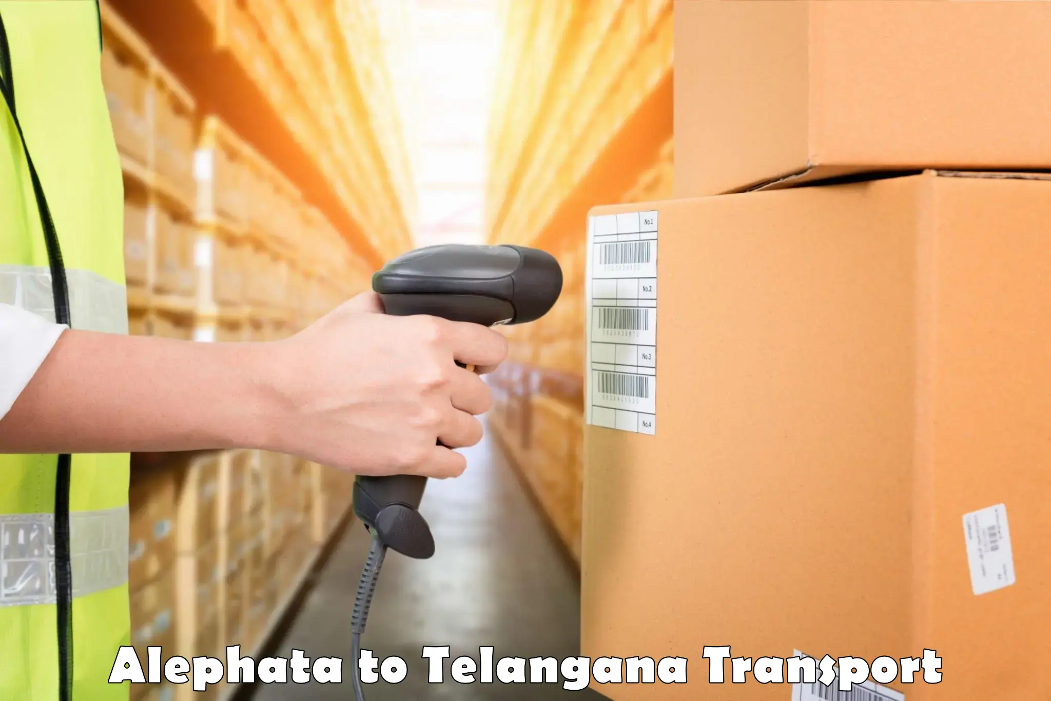 Cargo train transport services in Alephata to Telangana