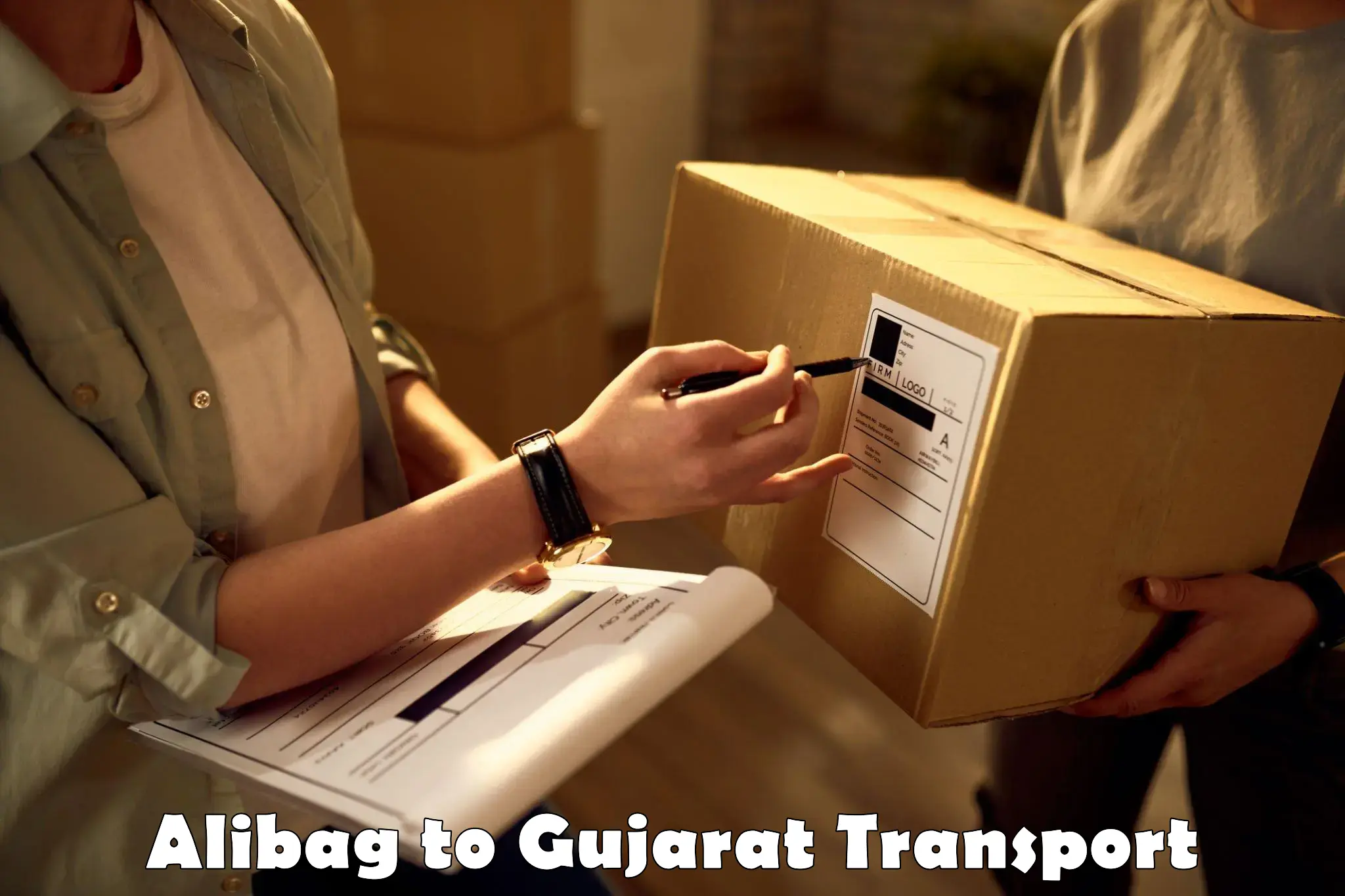 Vehicle courier services Alibag to Amreli