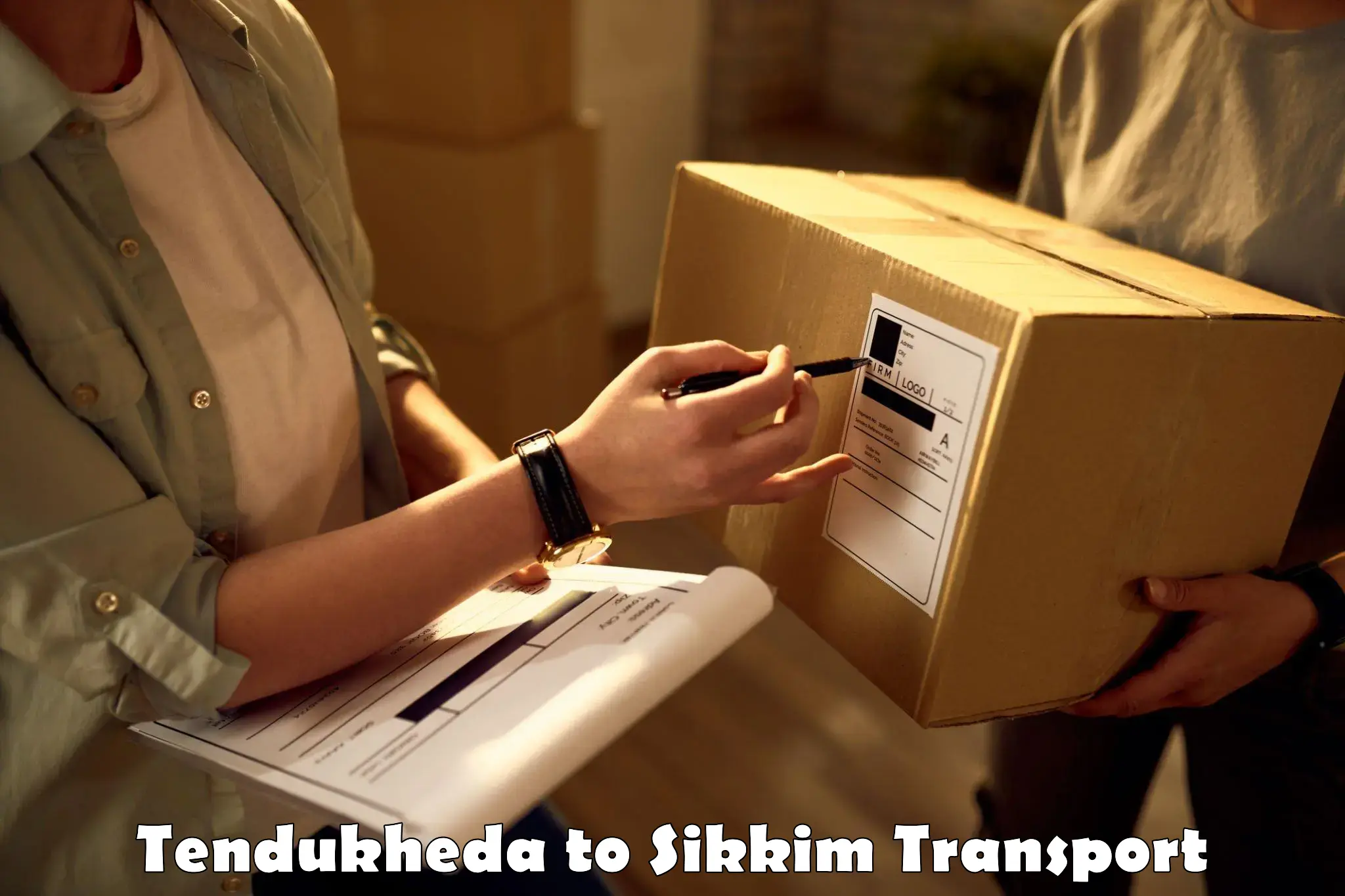 Shipping services Tendukheda to Sikkim