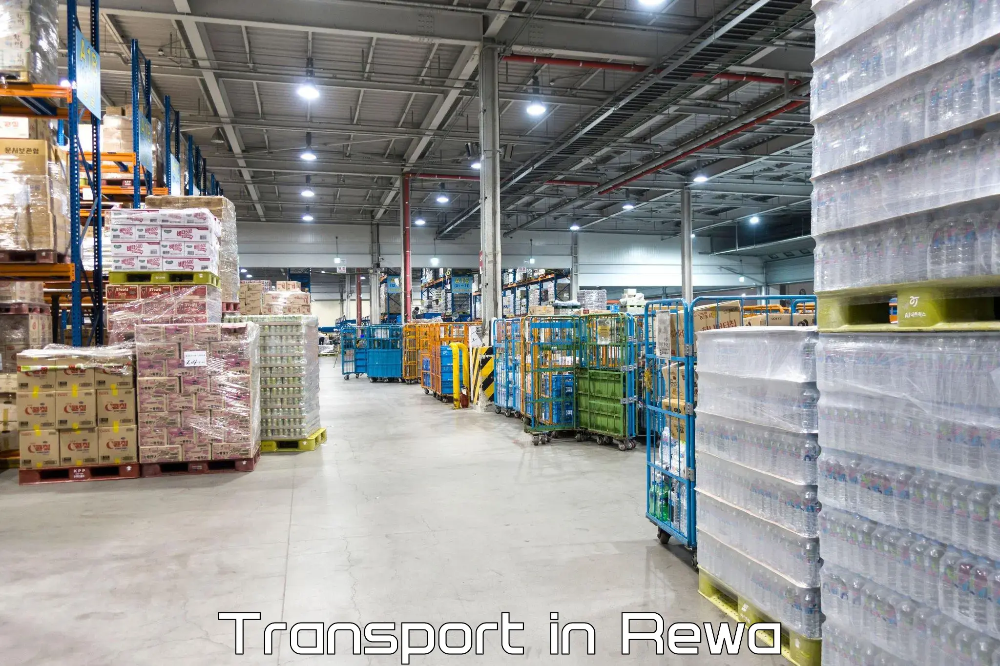Air freight transport services in Rewa